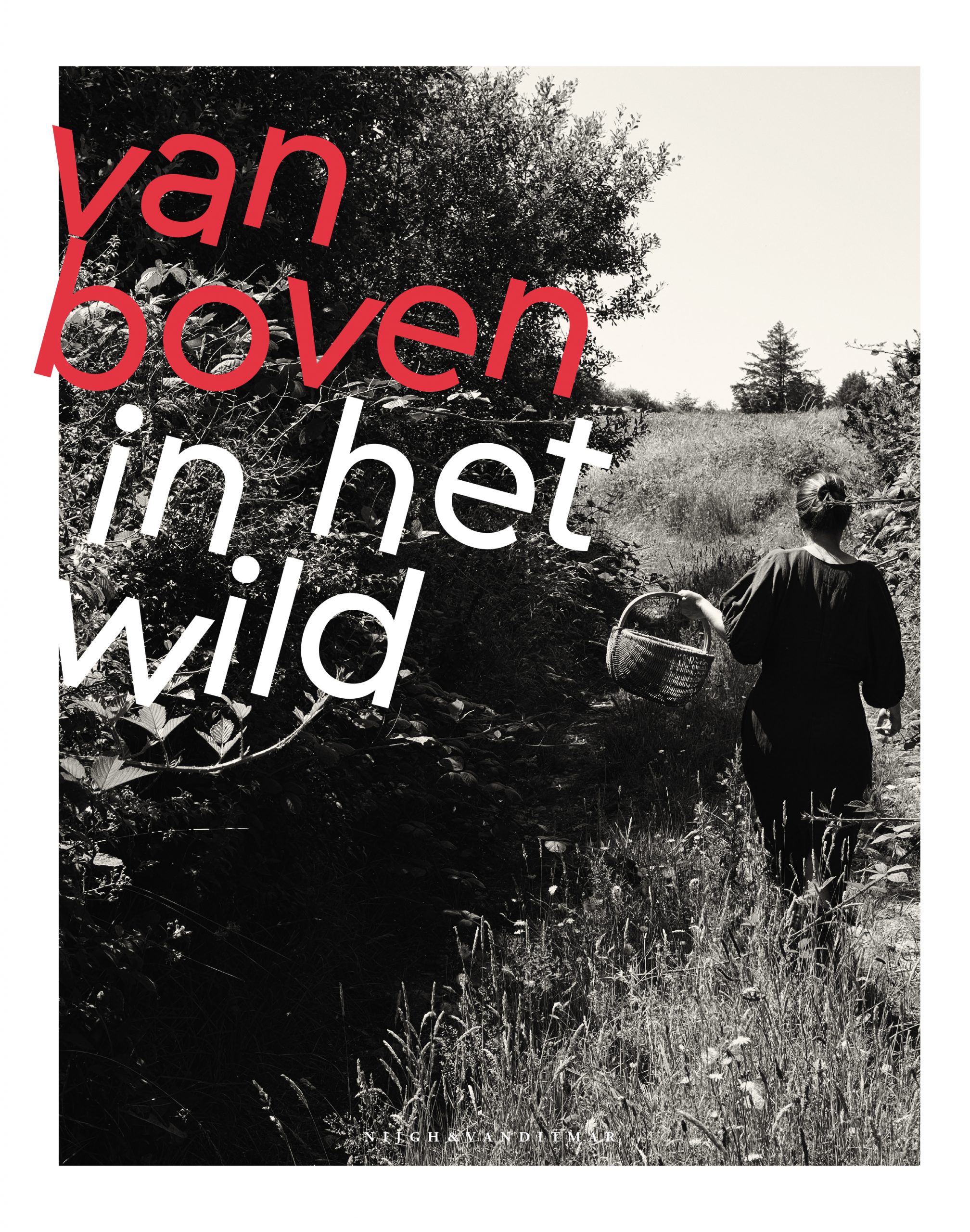Van boven in het wild - Yvette van Boven - 